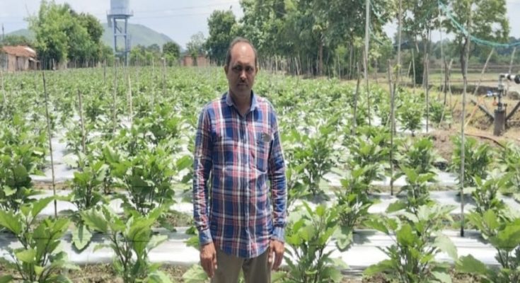 आधुनिक खेती से बढ़ा रमाकांत की आमदनी