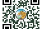 अंतरराष्ट्रीय बाघ दिवस पर होगा ‘रन फॉर इंद्रावती’ मैराथन का आयोजन
