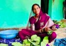 कबीरधाम जिले के 32 हजार से अधिक तेंदूपत्ता संग्राहकों के खाते में पहुंचे अब तक 22.05 करोड़ रुपये