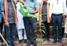 मुख्यमंत्री साय के नेतृत्व में ‘एक पेड़ मां के नाम 3.0’ अभियान को मिल रहा जन-जन का साथ