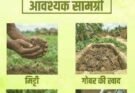 सीड बॉल अभियान- हरियाली बढ़ाने का सरल और प्रभावी माध्यम
