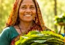 धमतरी : 23,723 तेन्दूपत्ता संग्राहक परिवारों को मिलेगा 3.92 करोड़ रुपये का बोनस
