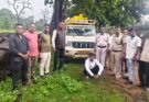 रात्रि गश्ती में अवैध सागौन से लदा पिकअप वाहन जब्त