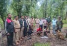 मृत भालू के नाखून काटकर ले जाने वाले दो आरोपी गिरफ्तार