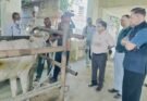भरतपुर पॉलीक्लिनिक में सीएस ने देखी लम्पी के इलाज की प्रक्रिया